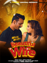 Beautiful Wife (Hindi) 